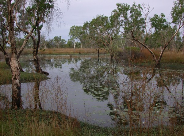 Parry Creek Farm